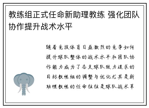 教练组正式任命新助理教练 强化团队协作提升战术水平