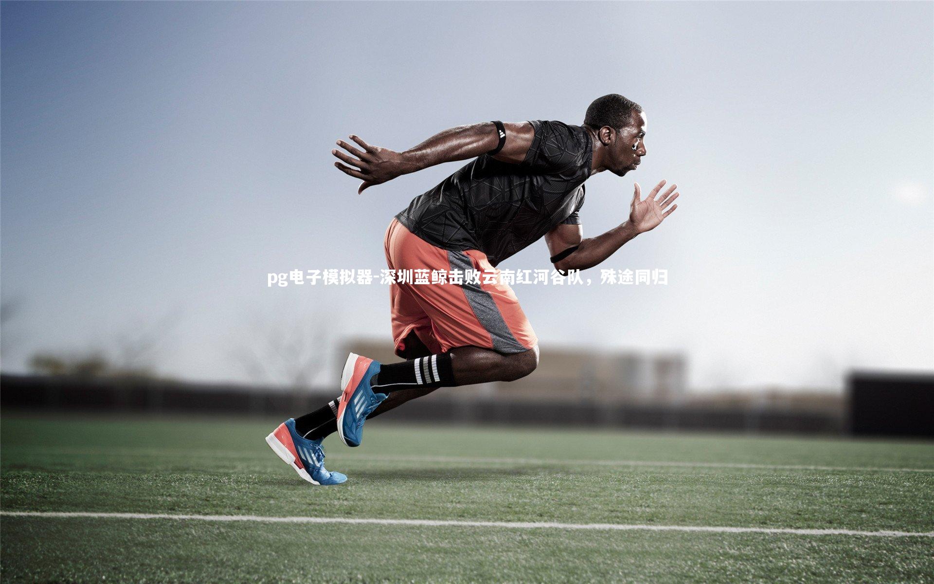 pg电子模拟器-深圳蓝鲸击败云南红河谷队，殊途同归